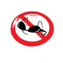 Matrica, Tilos melltartót viselni